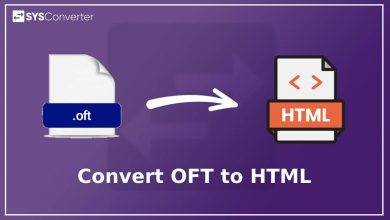 convertoft to html